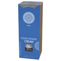 HOT Shiatsu Penis Power - stimulační intimní krém pro muže (30 ml)