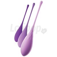 Pipedream Fantasy for Her Kegel Train-Her Set Purple