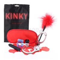 ToyJoy The Kinky Fantasy Kit